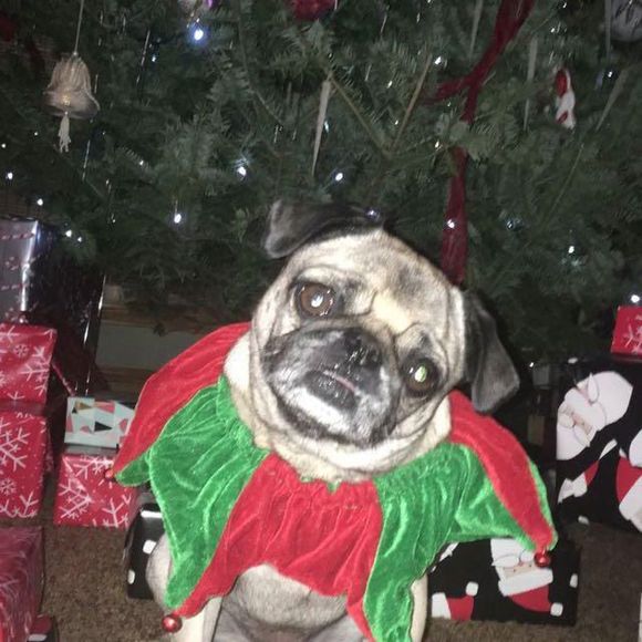 Profile Picture of Taryn Ewert (@tarynewert) on Poshmark