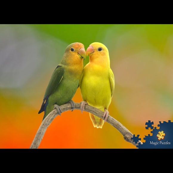 Profile Picture of Deborah Bueneman (@fallmigration) on Poshmark