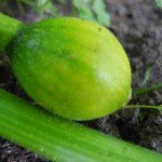 Profile Picture of Stephen (@stephentysons07) on Instagram