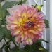 Profile Picture of Barbara Early (@barbara.early.144) on Facebook