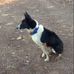 Profile Picture of Daniel Toohey (@daniel.toohey.9047) on Facebook