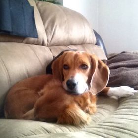 Profile Picture of Aimee Hatchell (@rikkube) on Pinterest