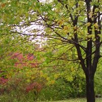 Profile Picture of Zachary Lam (@zachary-lam-4) on Quora