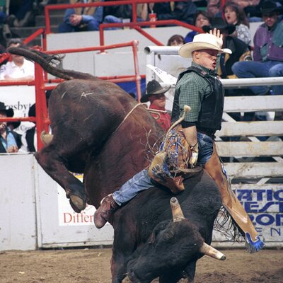 Profile Picture of Joshua James Patrick (@buckmaster49) on Twitter