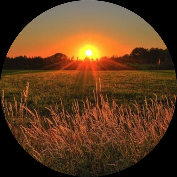 Profile Picture of Haley Bosselait (@haleybosselait) on Poshmark