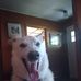 Profile Picture of Jason Graner (@jason.graner.7) on Facebook