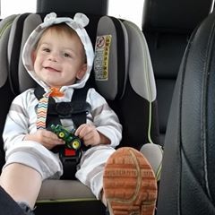 Profile Picture of Kelsey Brewer (@@kelseybrewer43) on Tiktok