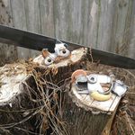 Profile Picture of james hunsberger (@popocalypsetv) on Instagram