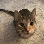 Profile Picture of Adam Tomczyk (@maja020418) on Instagram