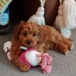 Profile Picture of Hazel King (@hazel_king_) on Instagram