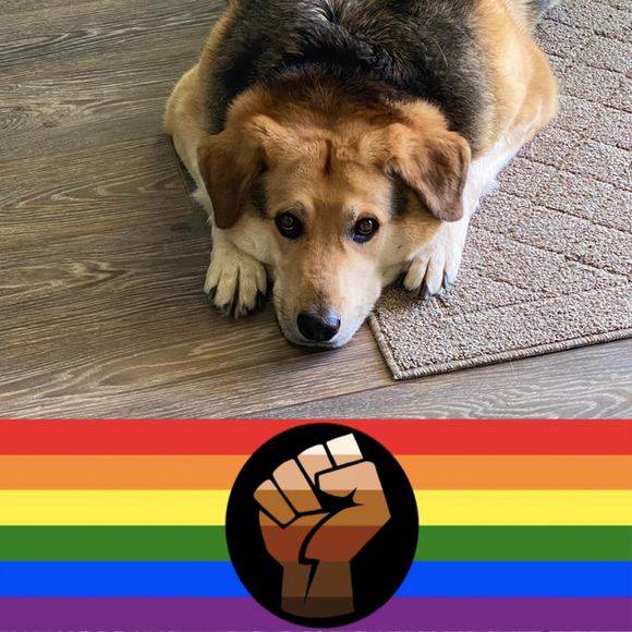 Profile Picture of Allison Wyly (@allisonwyly) on Poshmark