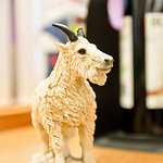 Profile Picture of Dan Losowski (@abalancedperspective) on Flickr