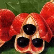 Profile Picture of Jo Angus (@joangus9768) on Youtube