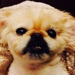 Profile Picture of RobertWuthrich (@robertwootrick) on Instagram