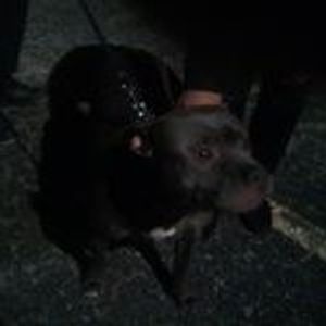 Profile Picture of Erica Ramirez (@erica.ramirez.5815255) on Myspace