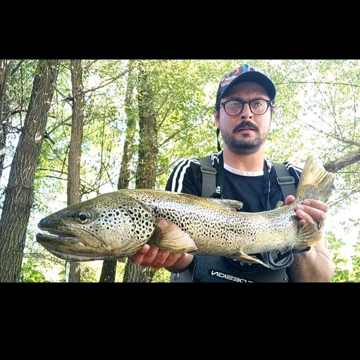 Profile Picture of Cristian Caruso (@cristiancaruso5) on Tiktok