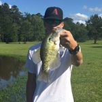 Profile Picture of Michael Dickson (@michael_dickson15) on Instagram