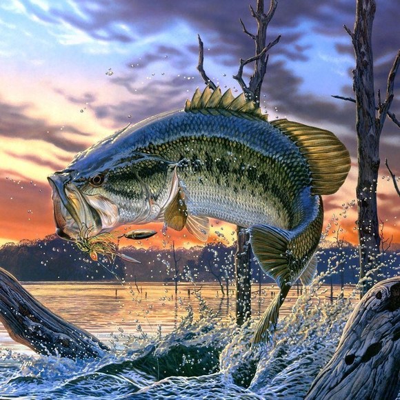 Profile Picture of Cindy Smelgus (@csmelgus) on Poshmark