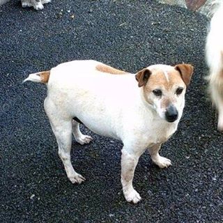 Profile Picture of Siobhan Mullins (@siobhan.mullins.5) on Facebook