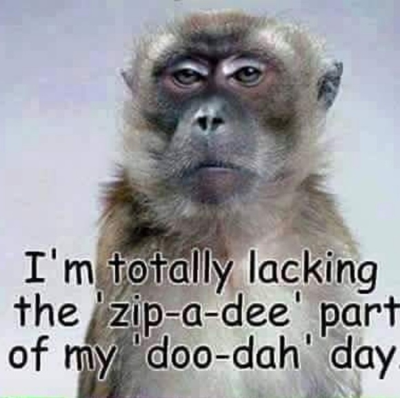 Profile Picture of Bradly Hoghtelling (@bjh8807) on Poshmark