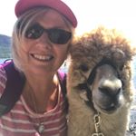 Profile Picture of Eileen Sweeney (@willowtherapiesni) on Instagram