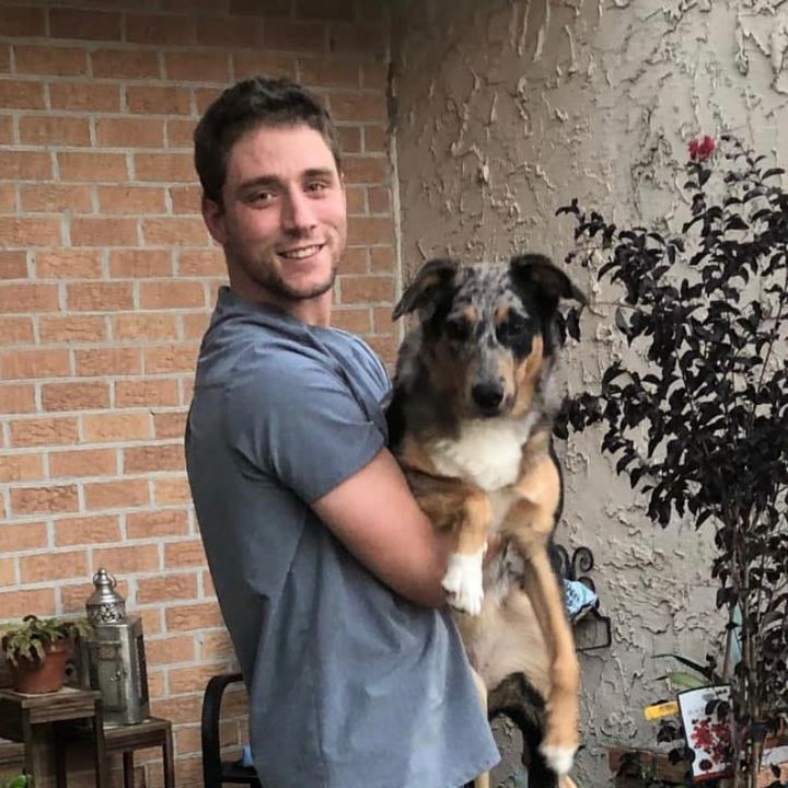 Profile Picture of Alex McLean (@@ahov23) on Tiktok