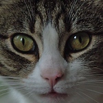 Profile Picture of Simon Carter (@Simon@WK) on Flickr