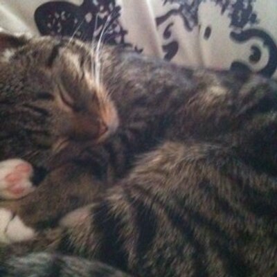 Profile Picture of Jennifer Hofmeister (@samtpfote23) on Twitter