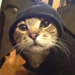 Profile Picture of Nathan Stegen (@nathan.stegen.2025) on Facebook