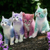 Profile Picture of Badar Syed (@badarsyed2742) on Youtube