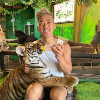 Profile Picture of Mike Chan (@iamnotmikechan) on Twitter