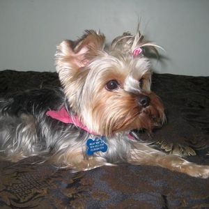 Octavia Blue - Myspace Profile Picture of Octavia Blue (@oblue) on Myspace