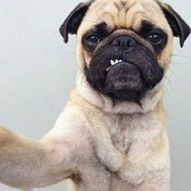 Profile Picture of Gabriel Naccarato (@gabrielnaccarat) on Pinterest