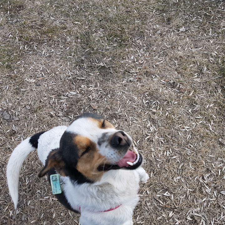 Profile Picture of Randy Hiebert655 (@randyhiebert29) on Tiktok