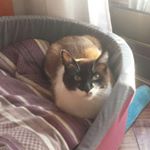 Profile Picture of Joel pardo (@jowixssssss) on Instagram