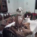 Profile Picture of Keith Wolf (@Keith-Wolf) on Facebook