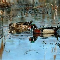 Profile Picture of Misti Purvis (@misti-purvis-1) on Quora