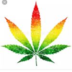 Profile Picture of paul (@redigerpaul) on Instagram