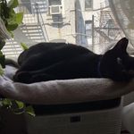 Sondra Moore - Instagram Profile Picture of Sondra Moore (@sondradeemoore70gmail.com4) on Instagram