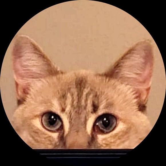 Profile Picture of Derek Howell (@digipearl) on Poshmark