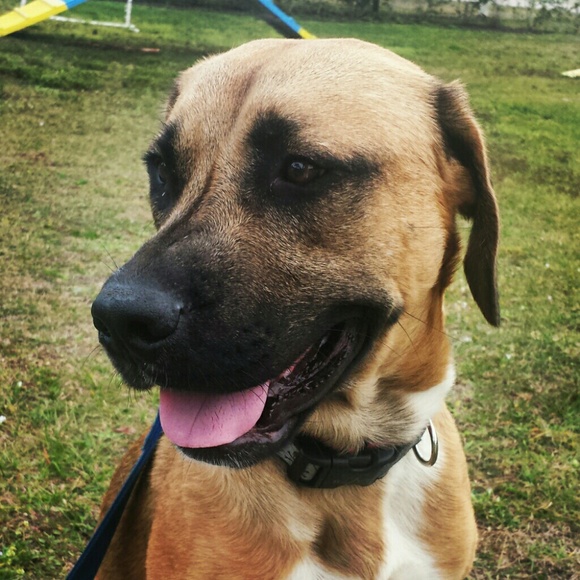 Profile Picture of April Okun (@abu02) on Poshmark