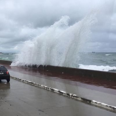 Profile Picture of Ada Troncoso (@AdaTroncoso5) on Twitter