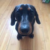 Profile Picture of Alex Lashley (@alexlashley5278) on Youtube