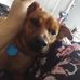 Profile Picture of Christopher Enos (@christopher.enos.1426) on Facebook