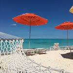 Profile Picture of Tonya Chastain (@tonya.chastain.505) on Instagram