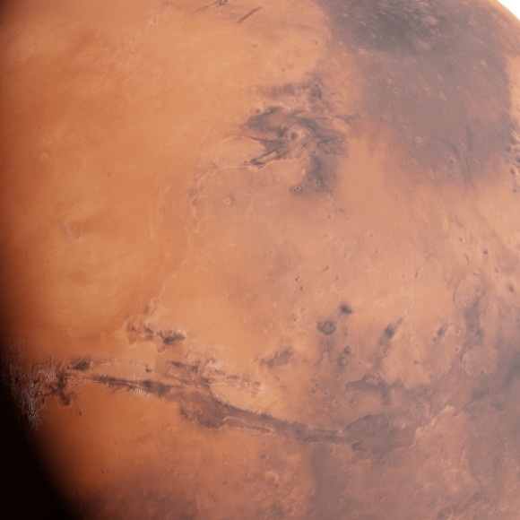 Profile Picture of Amanda Lopez (@lionessamanda) on Poshmark