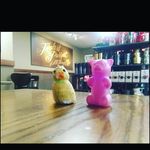 Profile Picture of Gummy Bear and Steve 💙💙 (@gummybearandstevefannacounttt) on Instagram