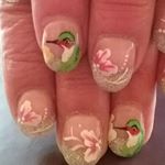 Profile Picture of Nancy Considine (@nancy.considine.79) on Instagram