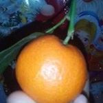 Profile Picture of Robert (@funaseki) on Instagram