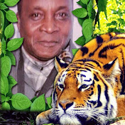 Profile Picture of David Menezes (@davidmenezes71) on Youtube